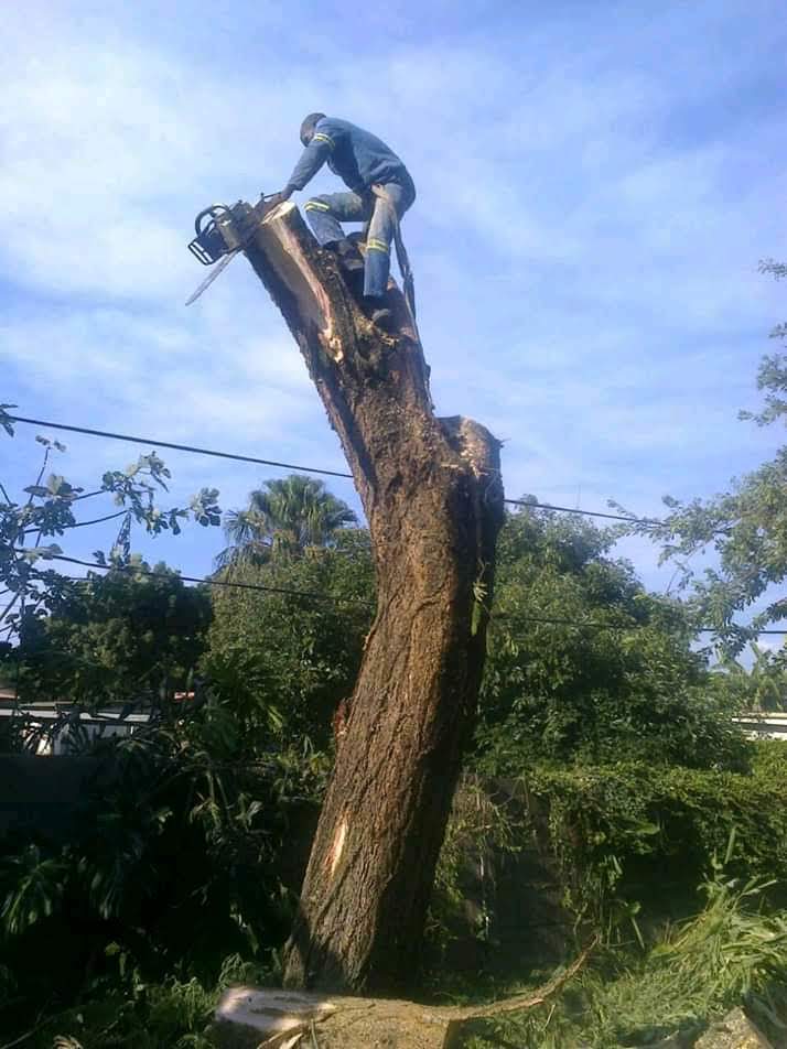 WhatsApp Image 2026-03-30 at 17.33.46