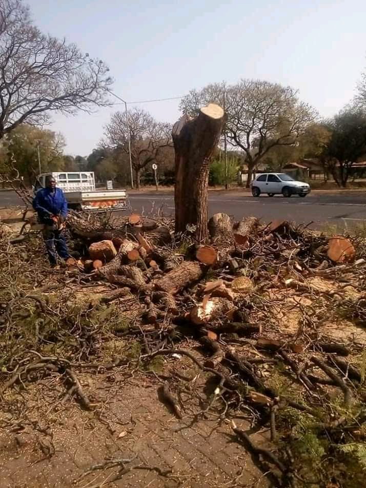 WhatsApp Image 2026-03-30 at 17.33.48